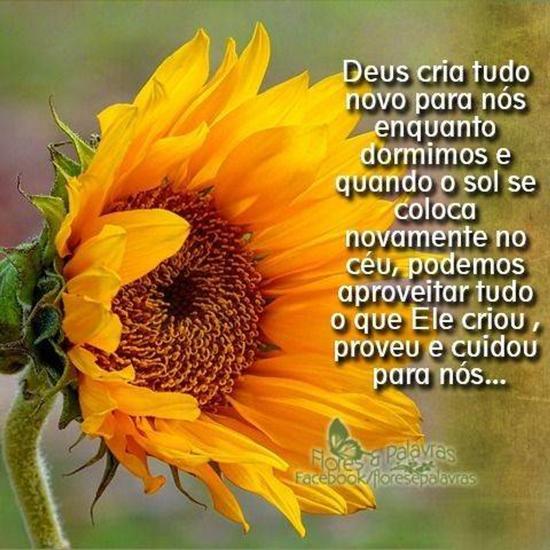 Moda Boa noite 🙏🙏🙏🙏