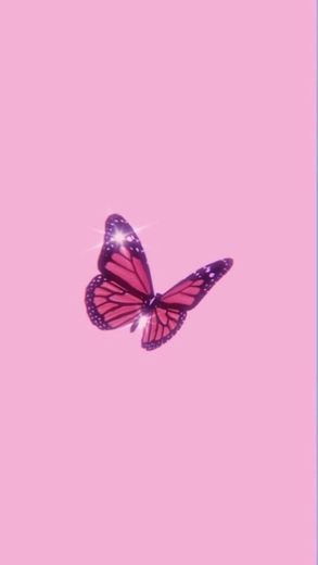 pink butterfly