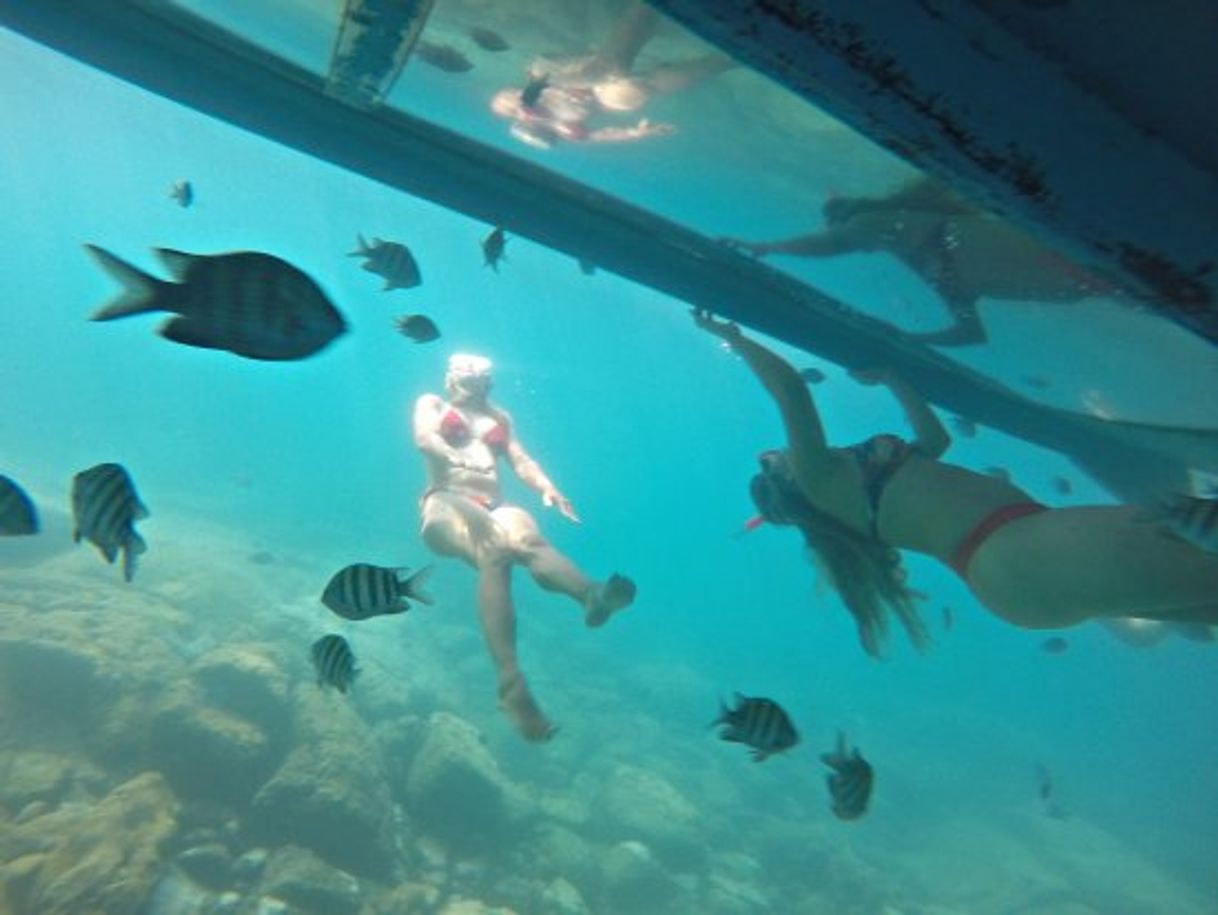 Place BARQUARIO boat with glass bottom