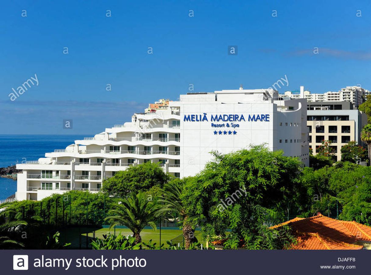 Lugar Meliá Madeira Mare Resort & Spa