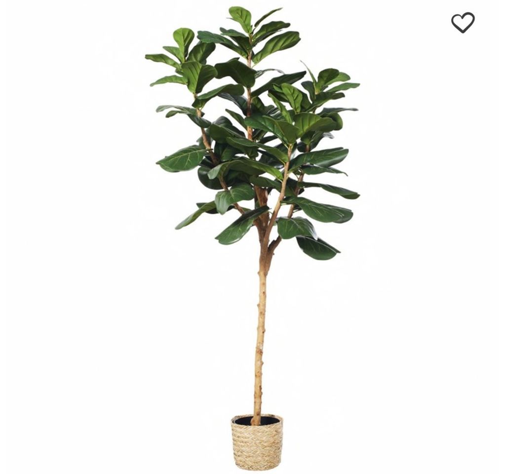 Fashion Ficus artificial con maceta trenzada LYRATA | Maisons du Monde