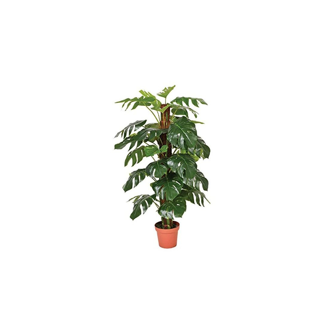 Product Catral 74010020 Planta artificial Monstera