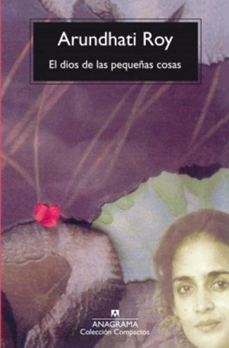 Book El dios de las pequeñas cosas