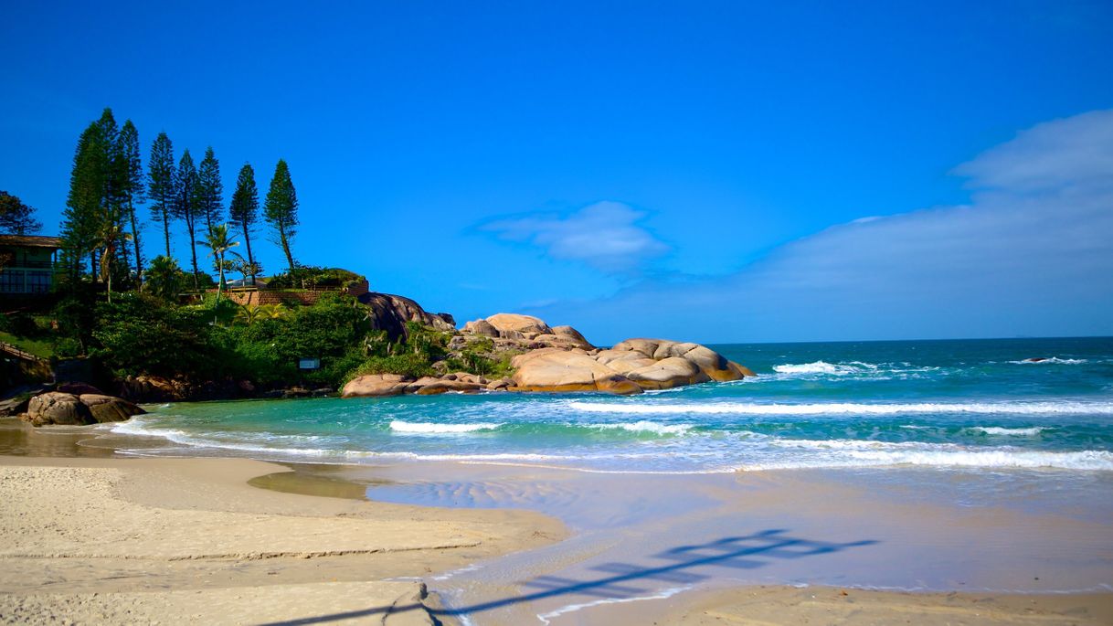 Lugar Playa de Joaquina