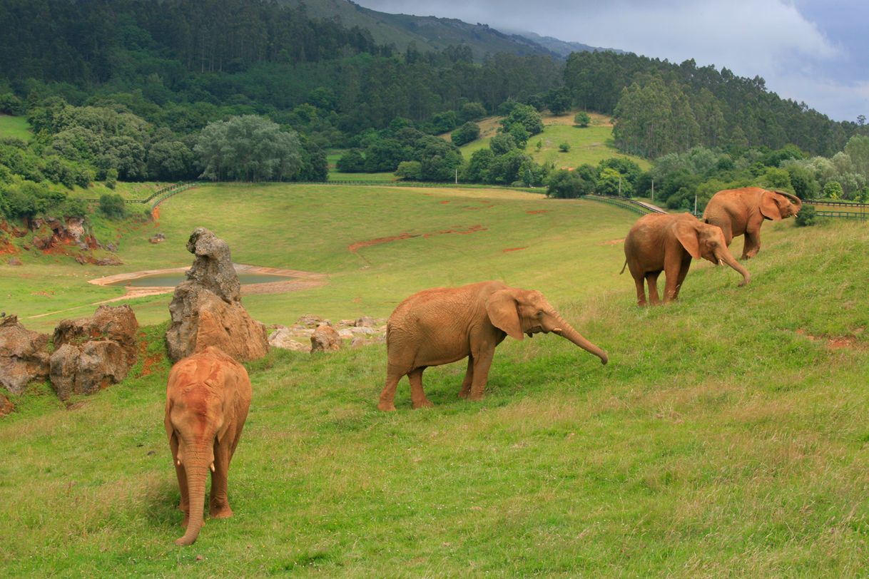 Place Parque de la Naturaleza de Cabárceno