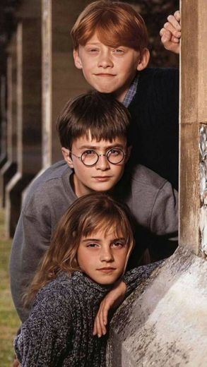 Harry, Rony e Hermione trio