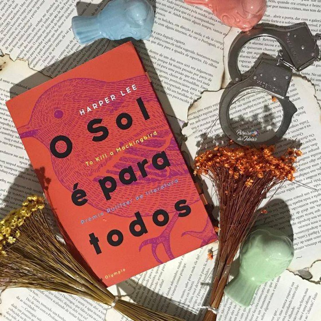 Libro O Sol É Para Todos