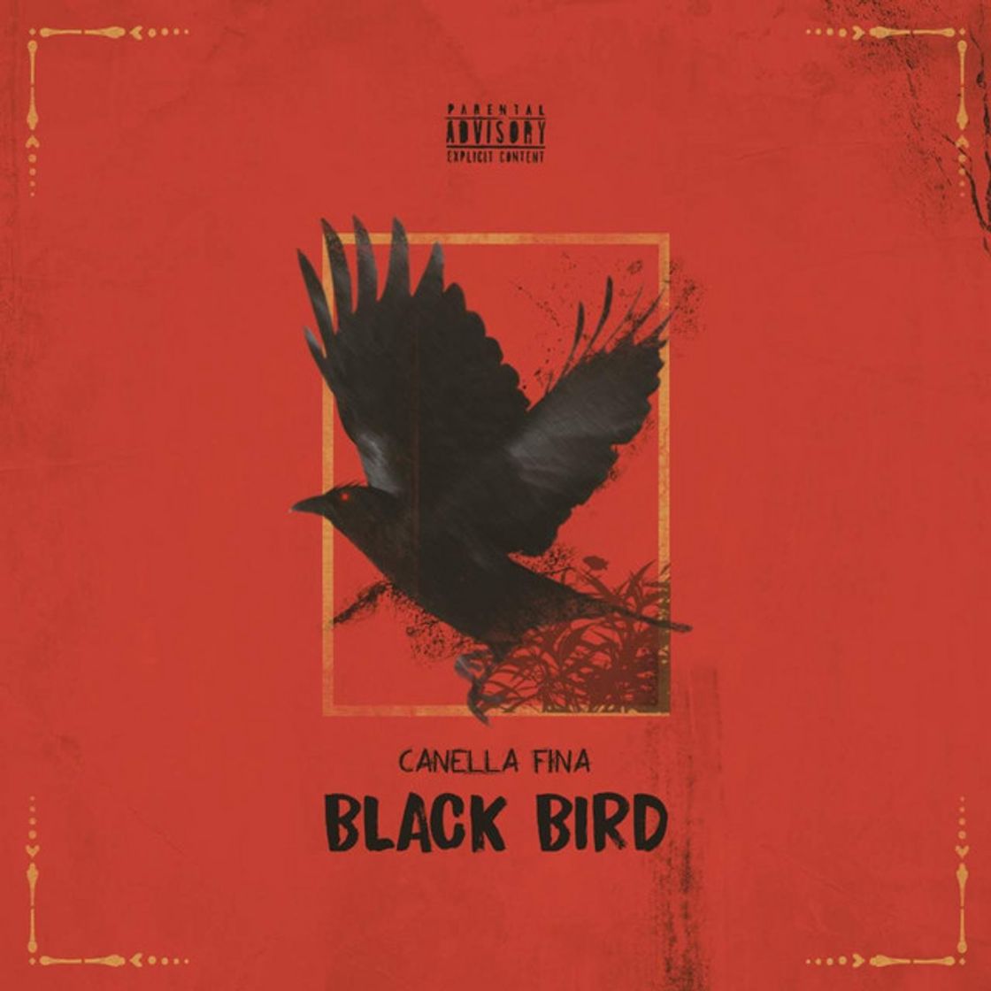 Music Black Bird