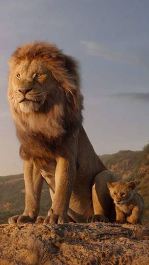 Leão e seu filhote ❤️