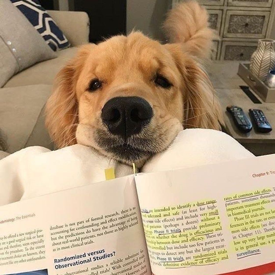 Social Book 