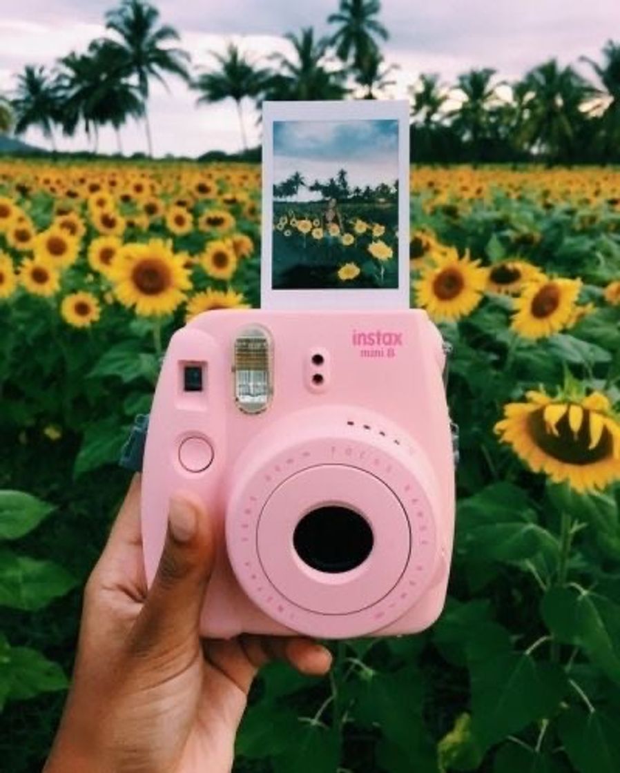Social Polaroide 📷🦋🌈