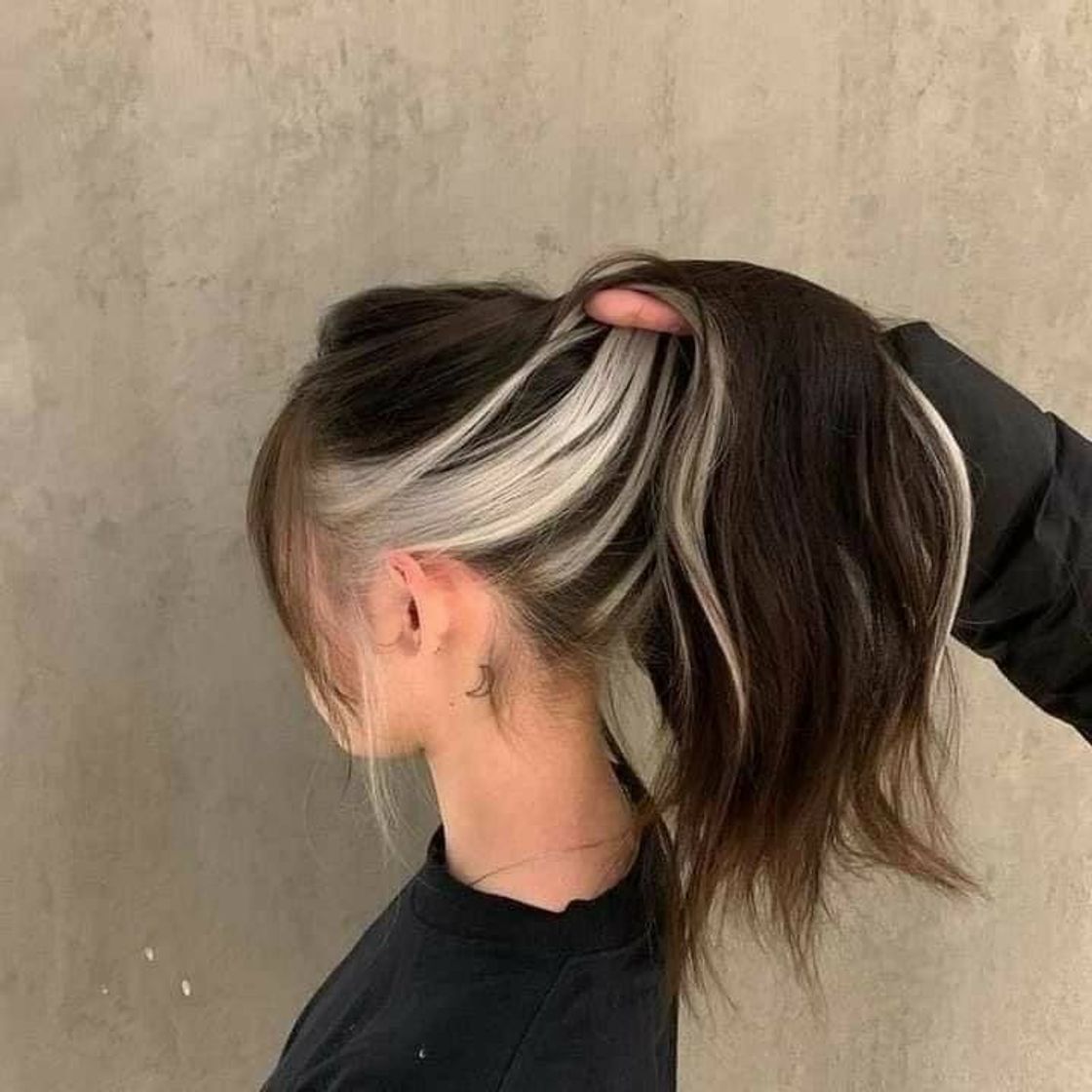 Fashion Cabelo Estilo Aesthetic 