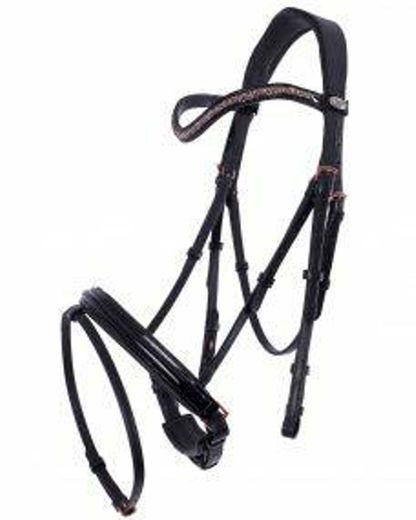 Bridle Seth | QHP 