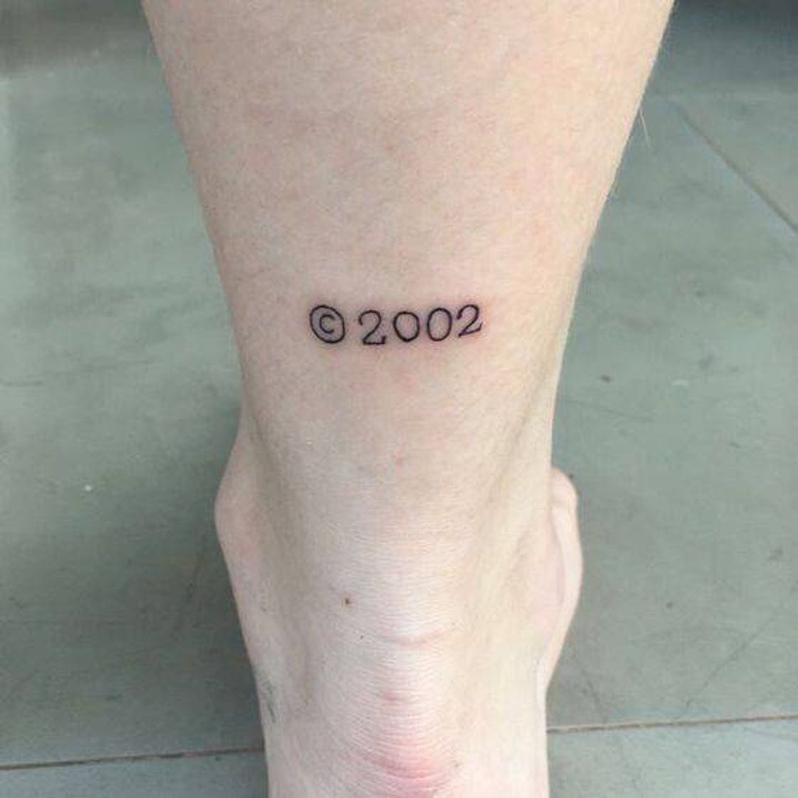 Social 2002
