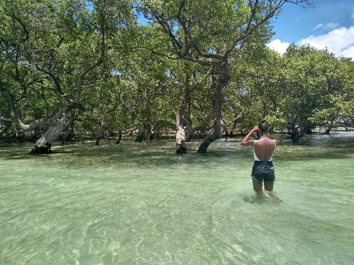 Lugar Neves (Ilha de Maré)