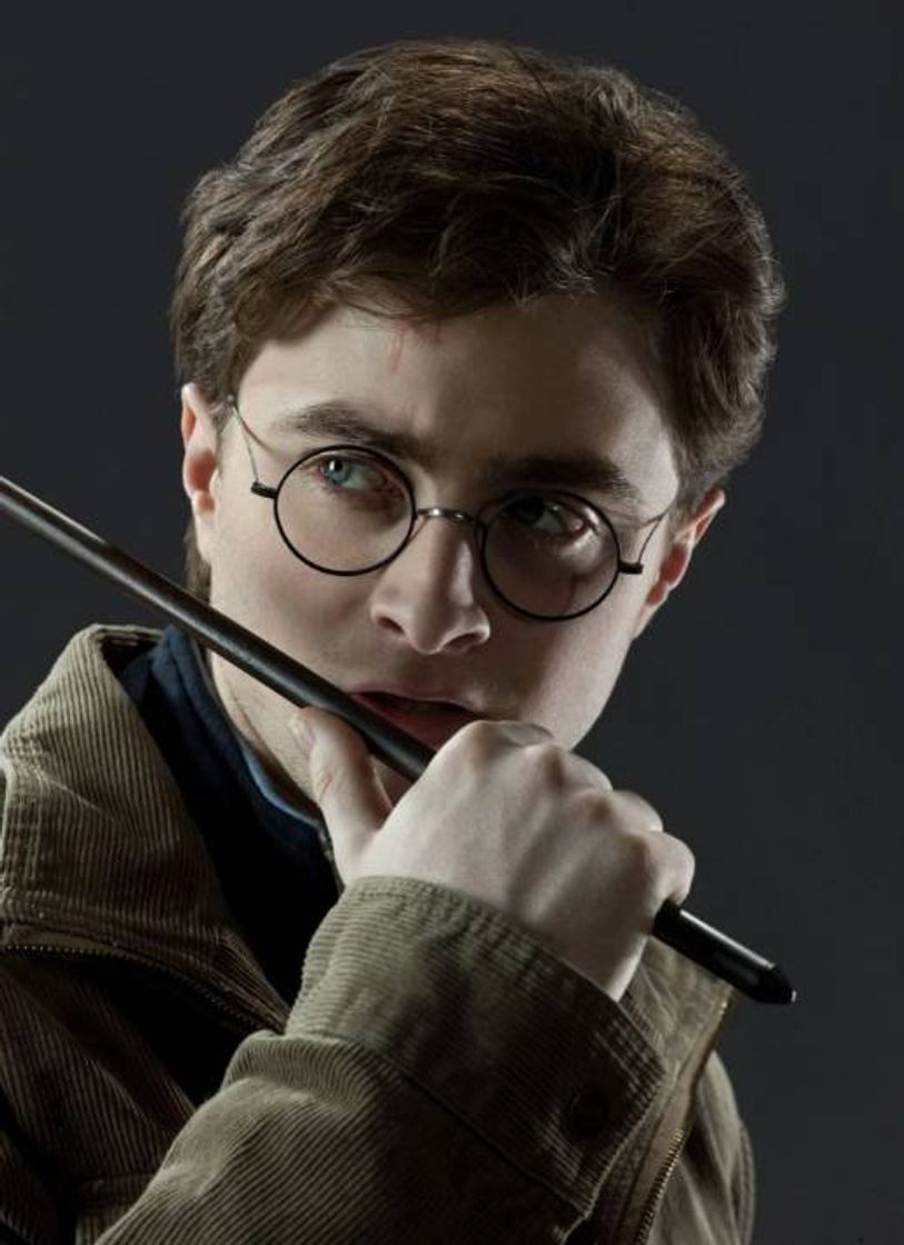 Fashion Biografia Harry Potter