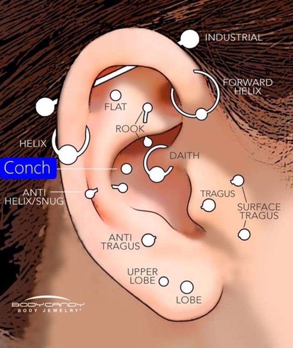 Moda Nomes dos pircings nas orelhas 👂 