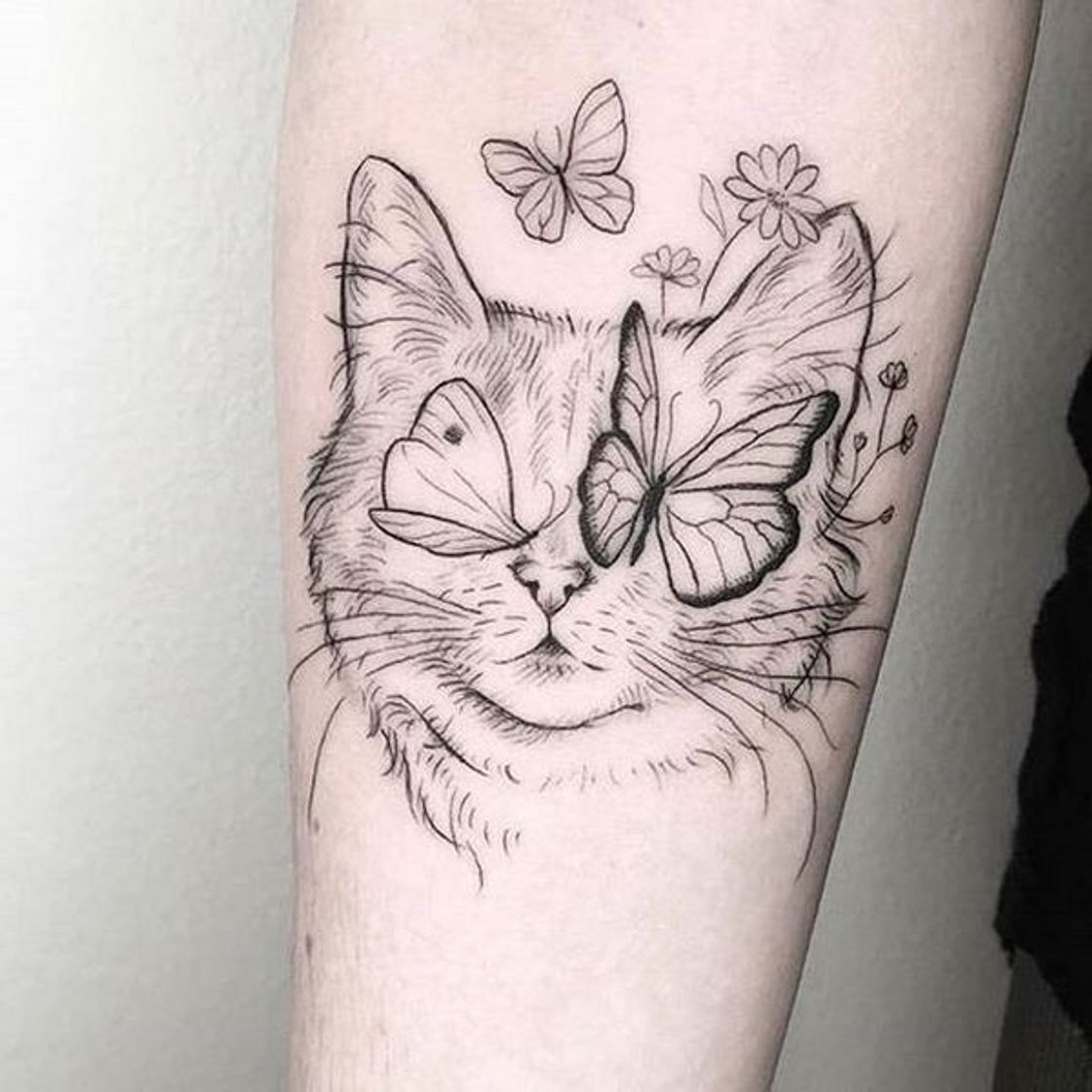 Fashion Tatuagem de gatinho