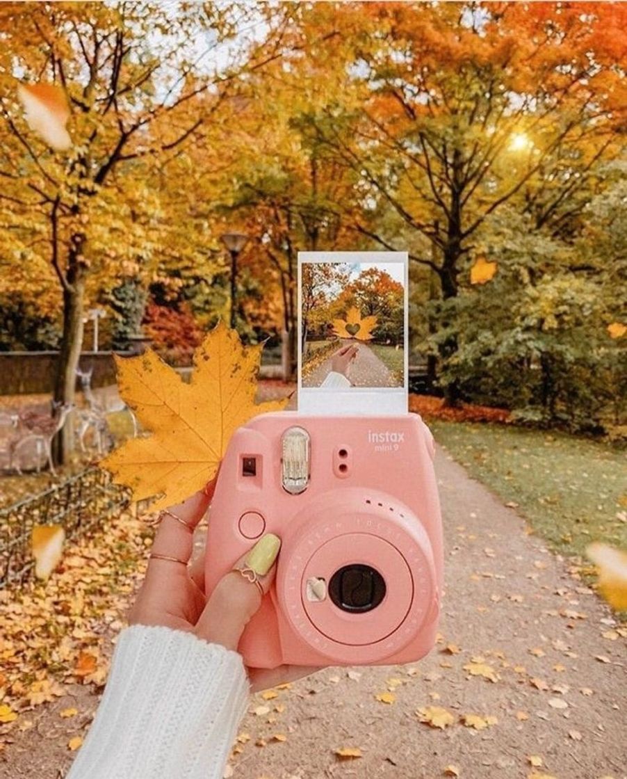 Productos Instax 