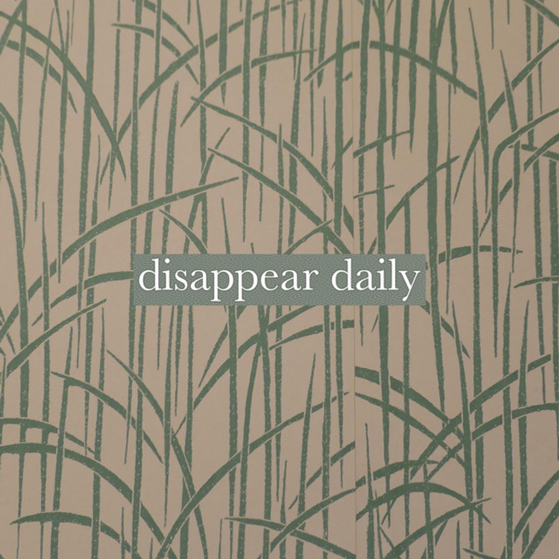 Canciones Disappear Daily