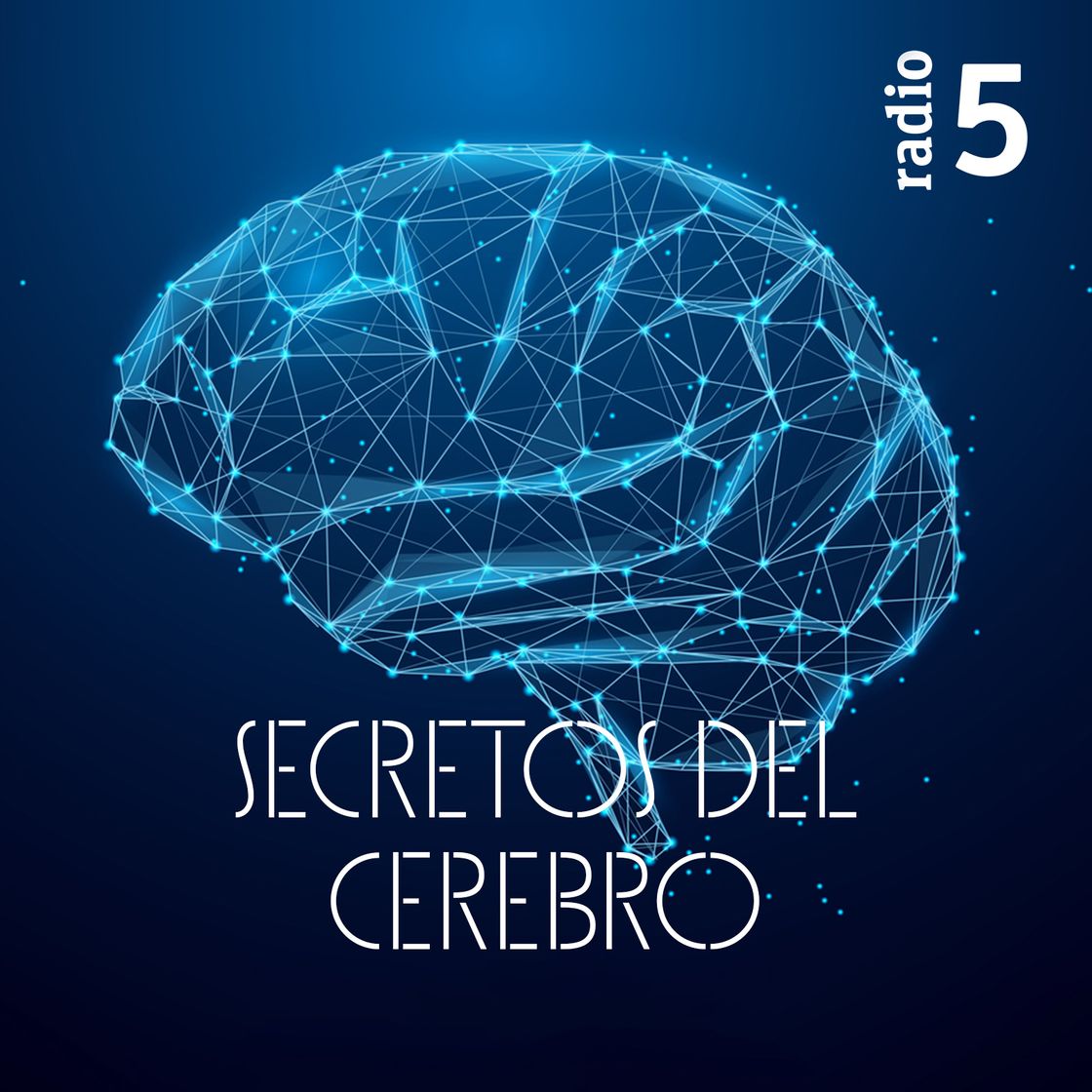 Fashion Secretos del cerebro