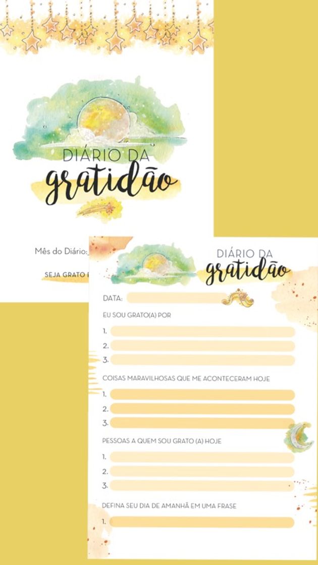 Fashion Diário de gratidão 🌻