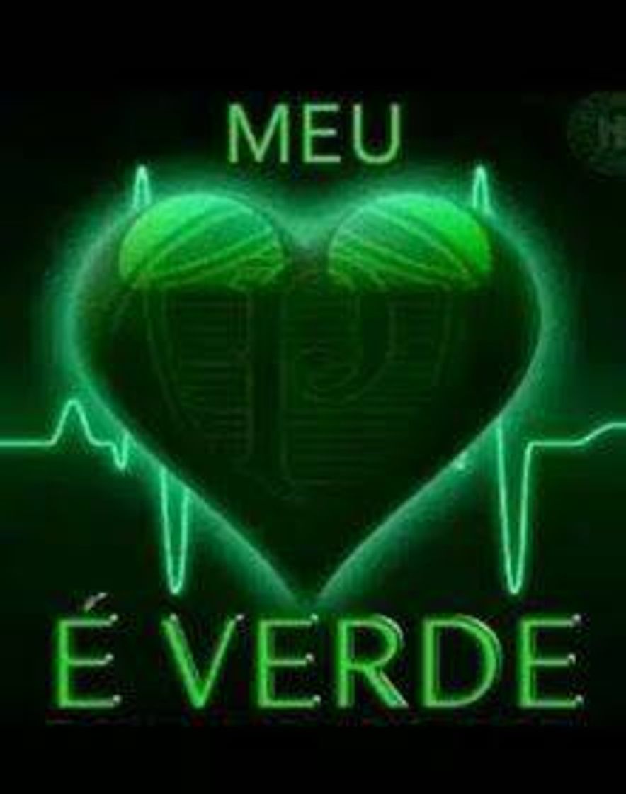 Social papel de parede palmeiras
