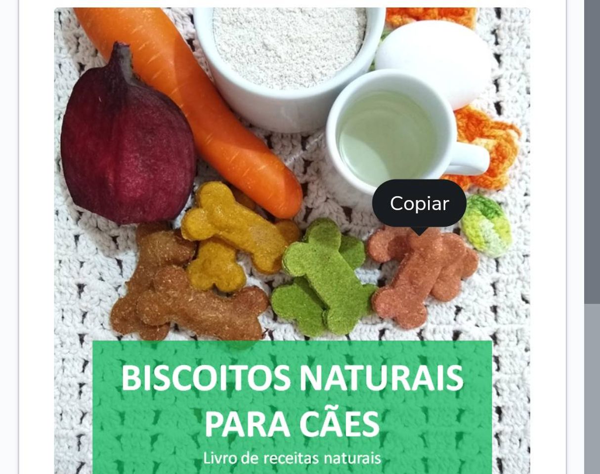 Moda Biscoito Naturais para cães