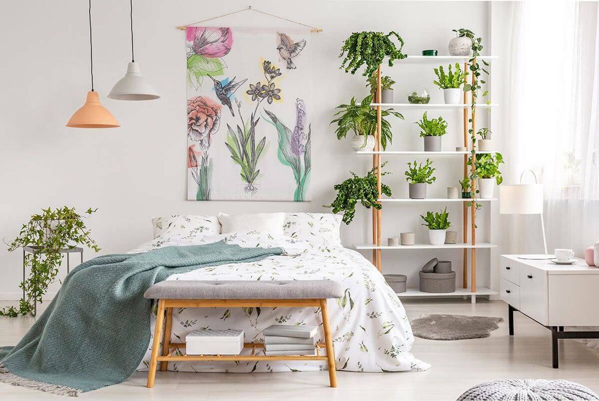 Moda Quarto com plantinhas🌱⚘🌿