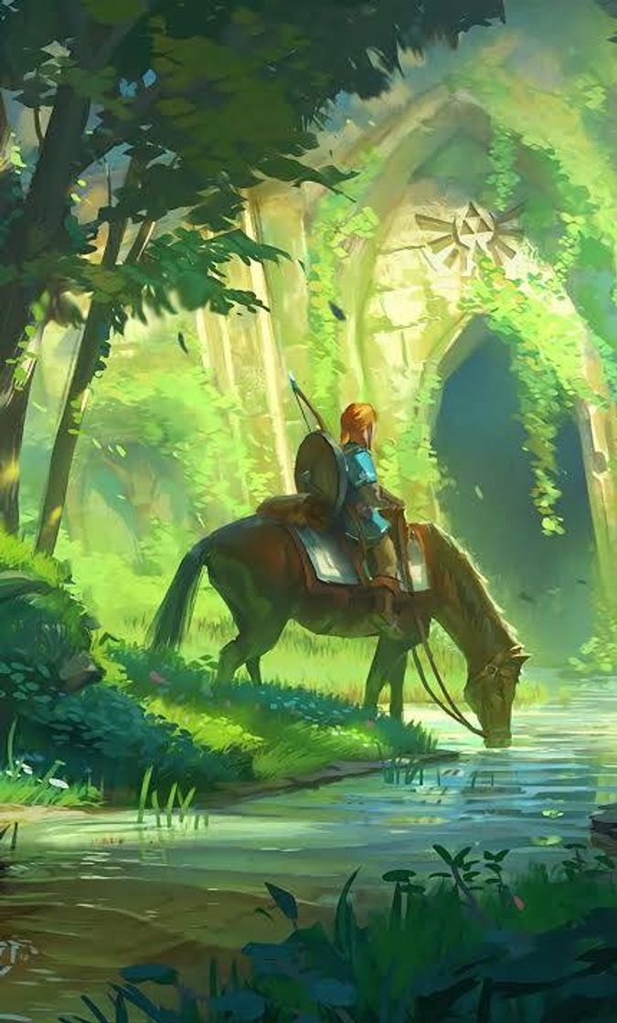 Videojuegos The Legend of Zelda: Breath of the Wild - Collector's Edition