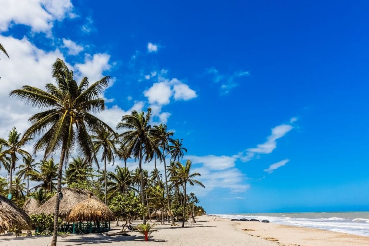 Restaurants Palomino la Guajira