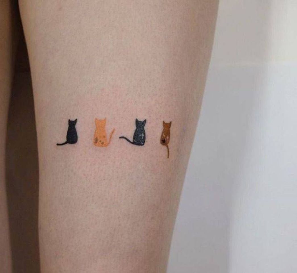 Fashion Tatto de gatinhos