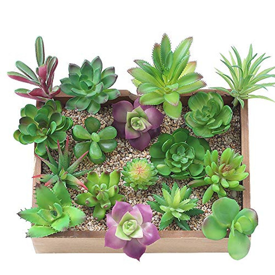 Social KUUQA 16 piezas de plantas artificiales carnosas mixtas