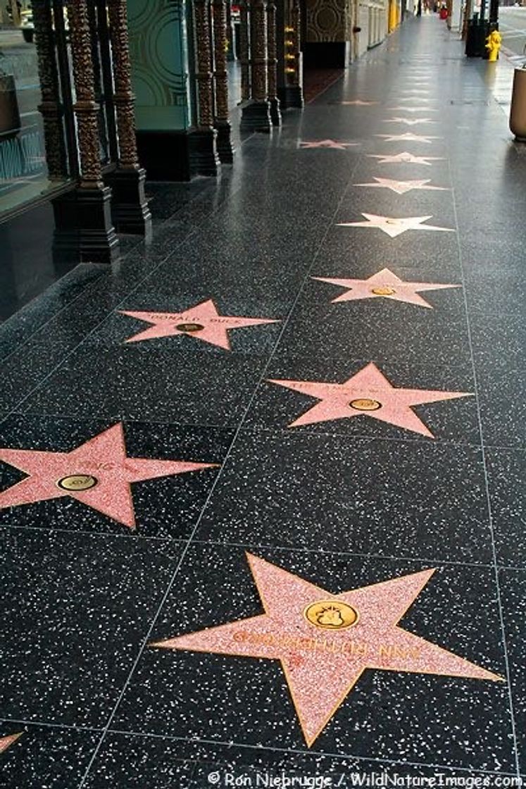 Place Paseo de la fama de Hollywood