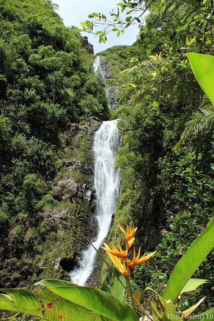 Place Hālawa Valley