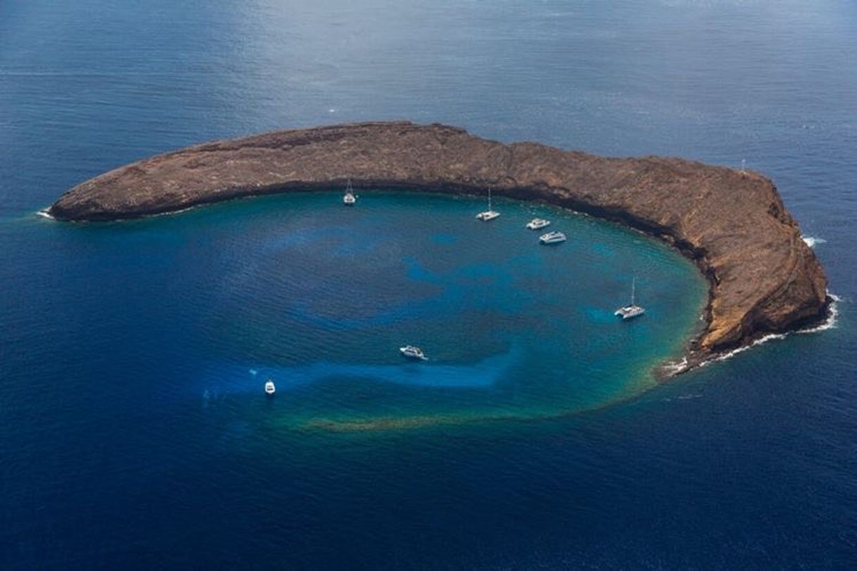 Place Molokini