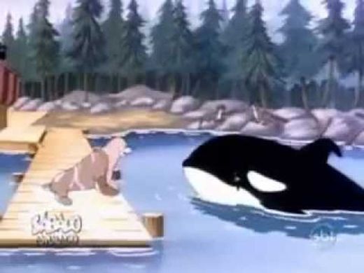 Desenho Free willy