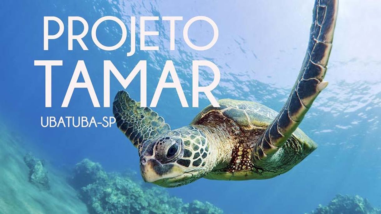 Place Projeto tamar 