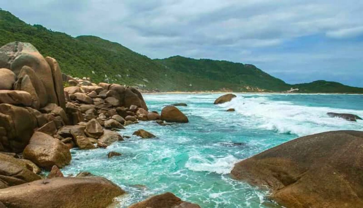 Place Praia da galheta ( Florianópolis)