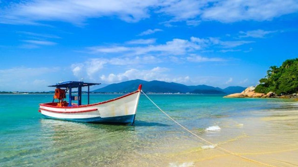 Place Praia ponta das canas ( Florianópolis)