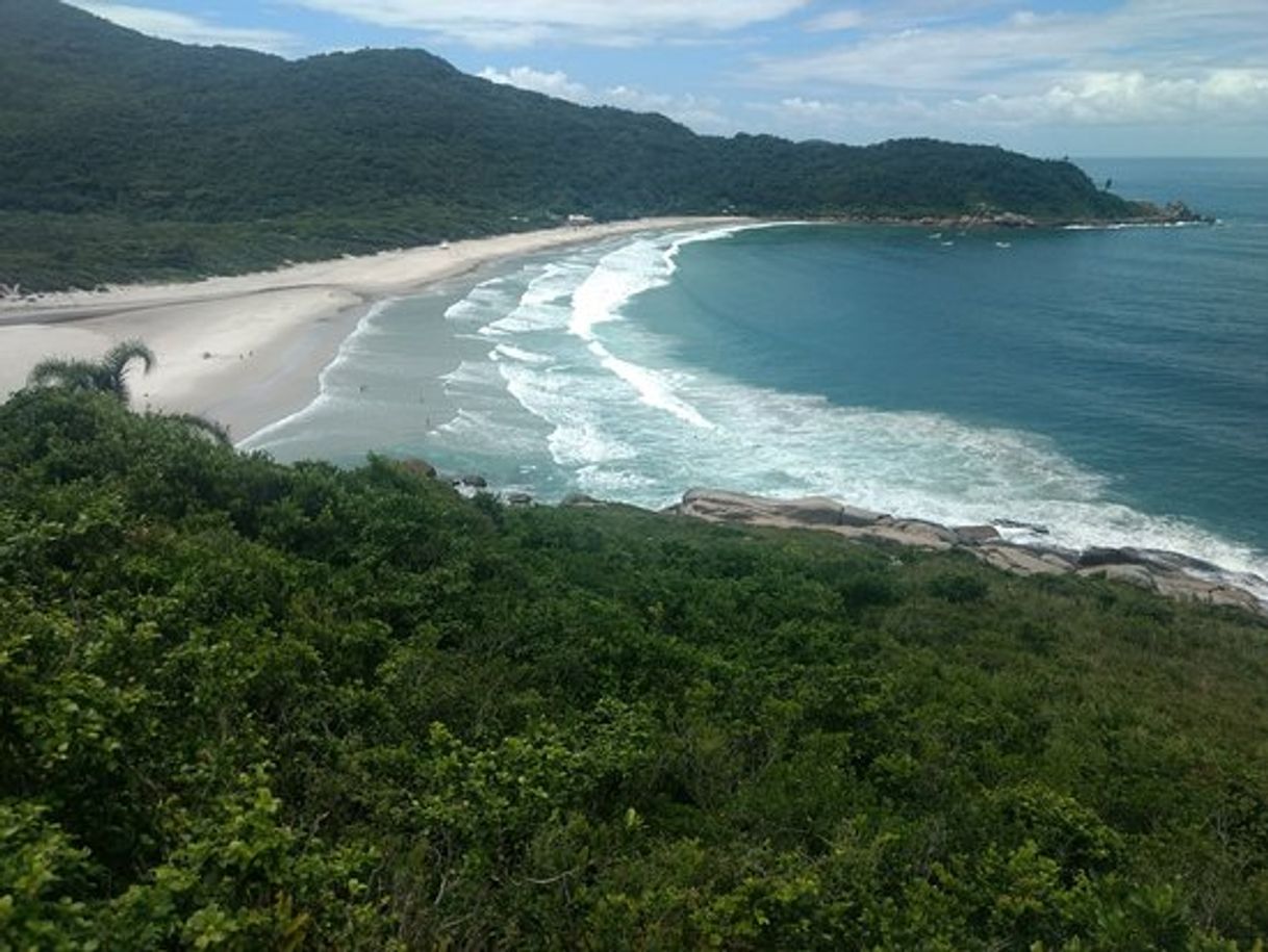 Place Praia de naufragados...