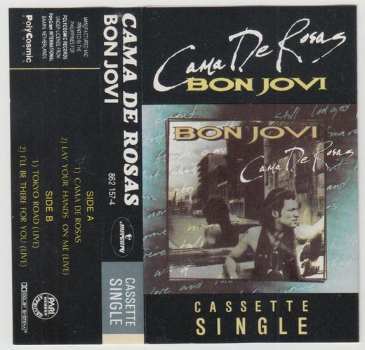 Bon Jovi - Bed of roses (cama de rosas) - 