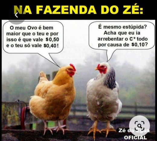 Só pra rir...