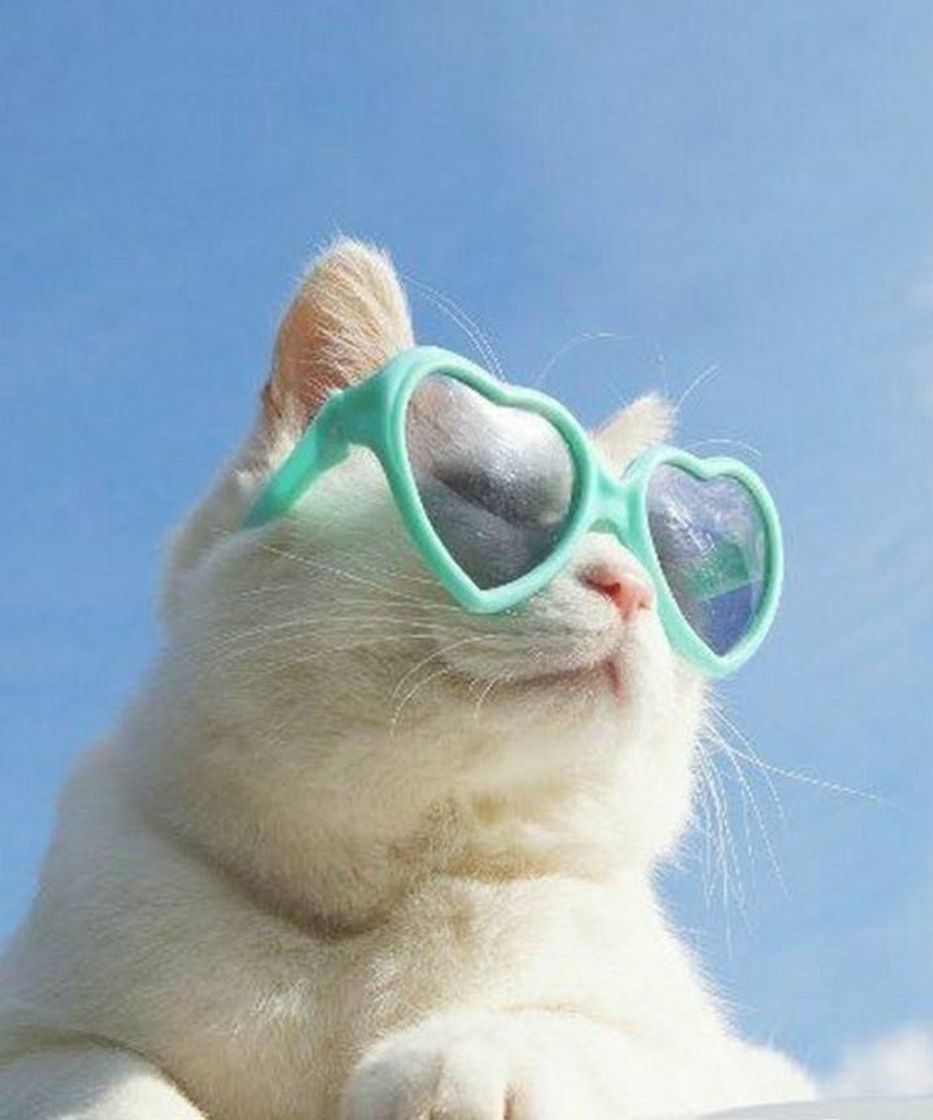 Social Gostosura...