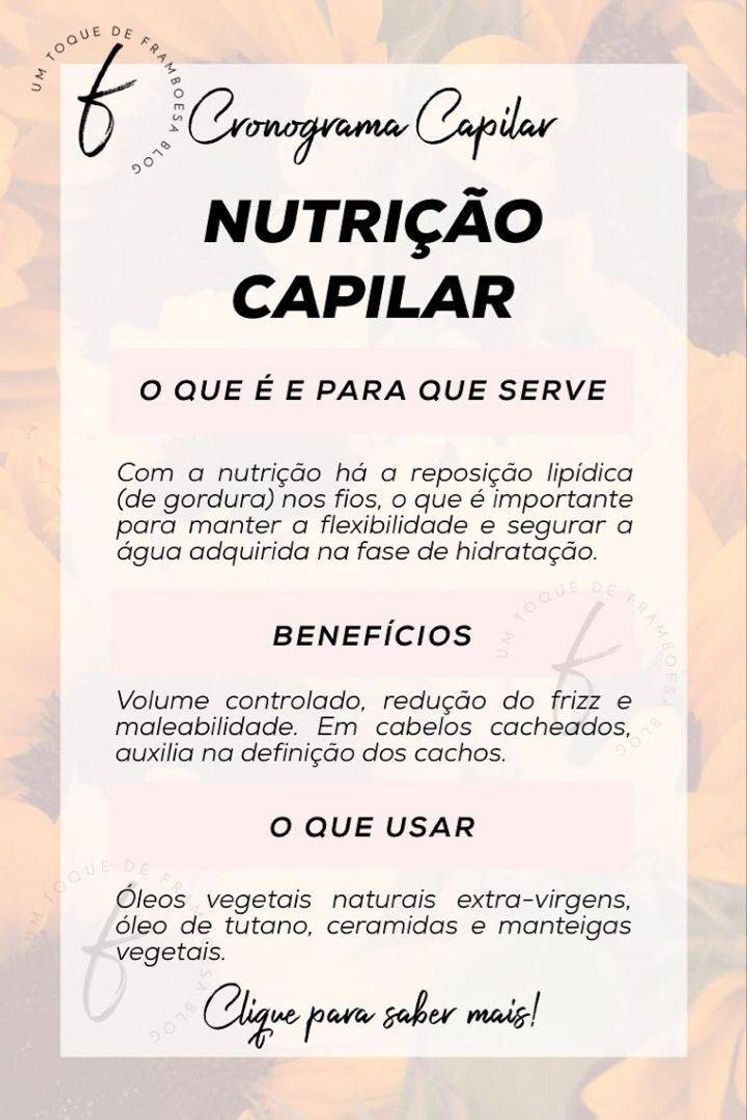 Fashion receitas para o cabelo