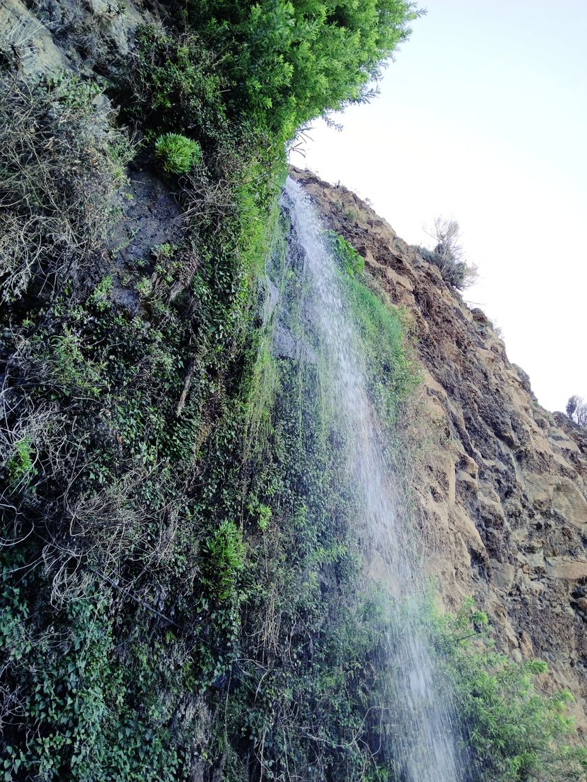 Lugar Madeira Islands