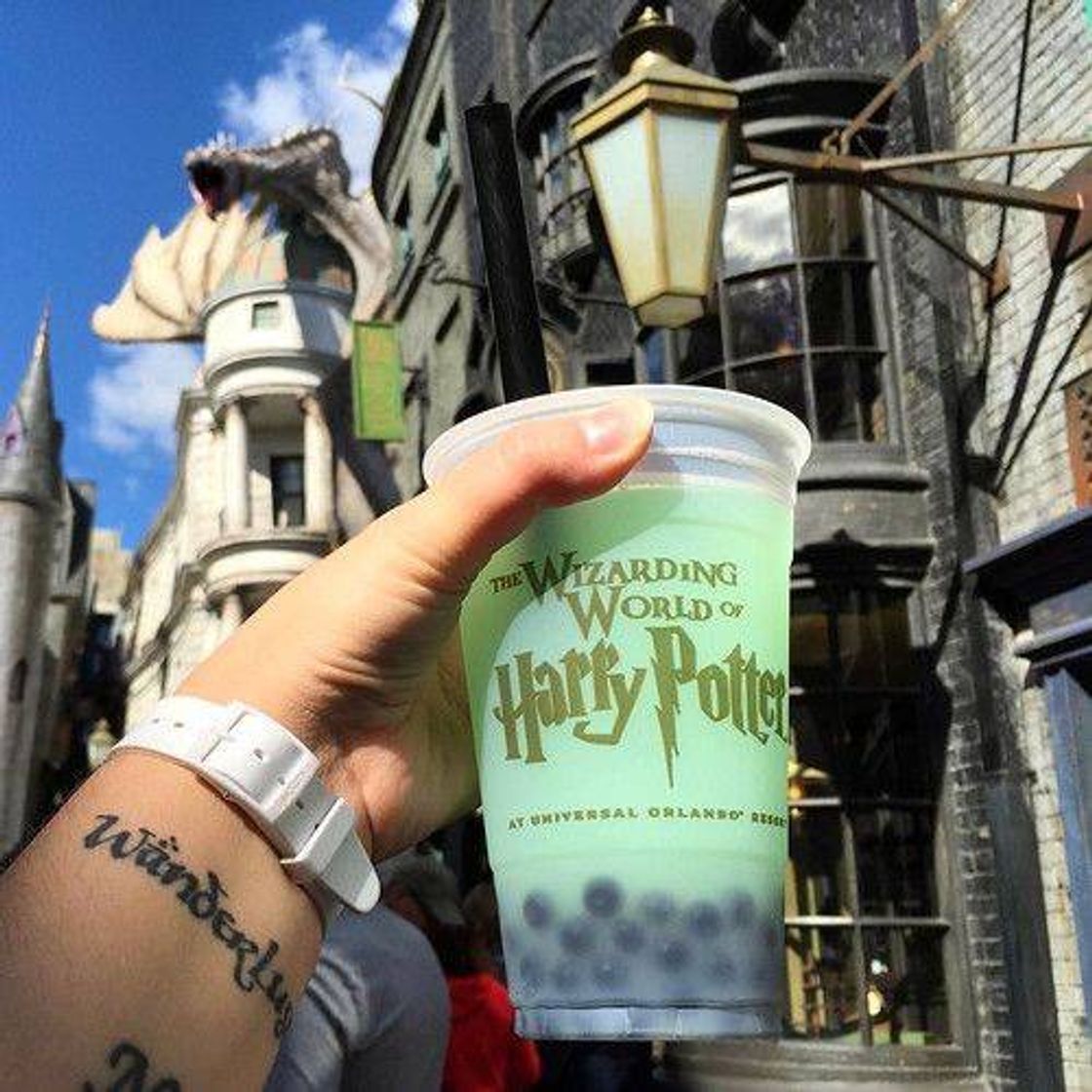 Moda Potter in Orlando🧙‍♂️