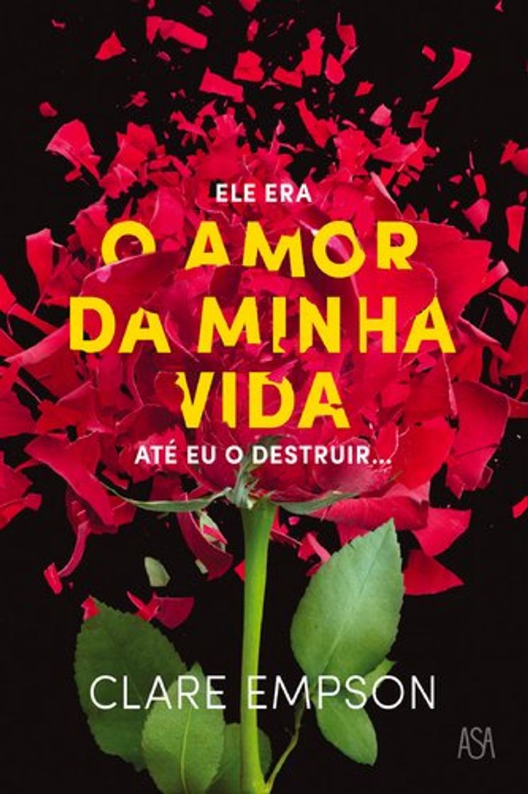 Book O Amor Da Minha Vida