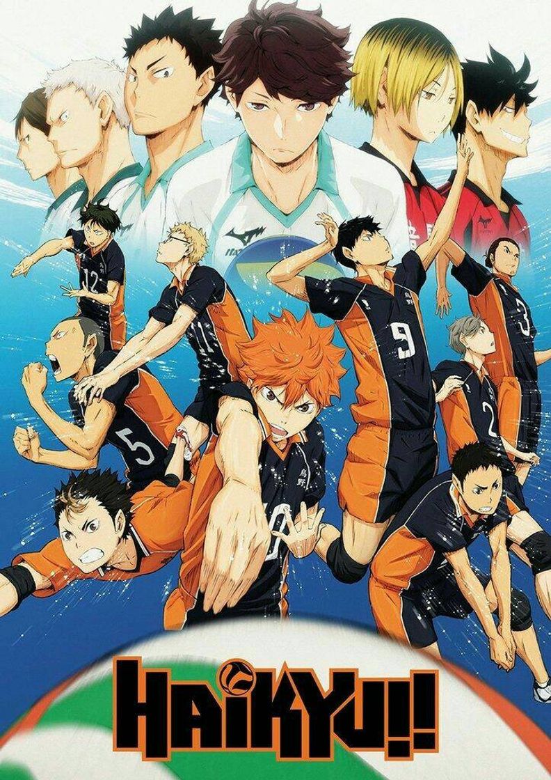 Serie Haikyuu