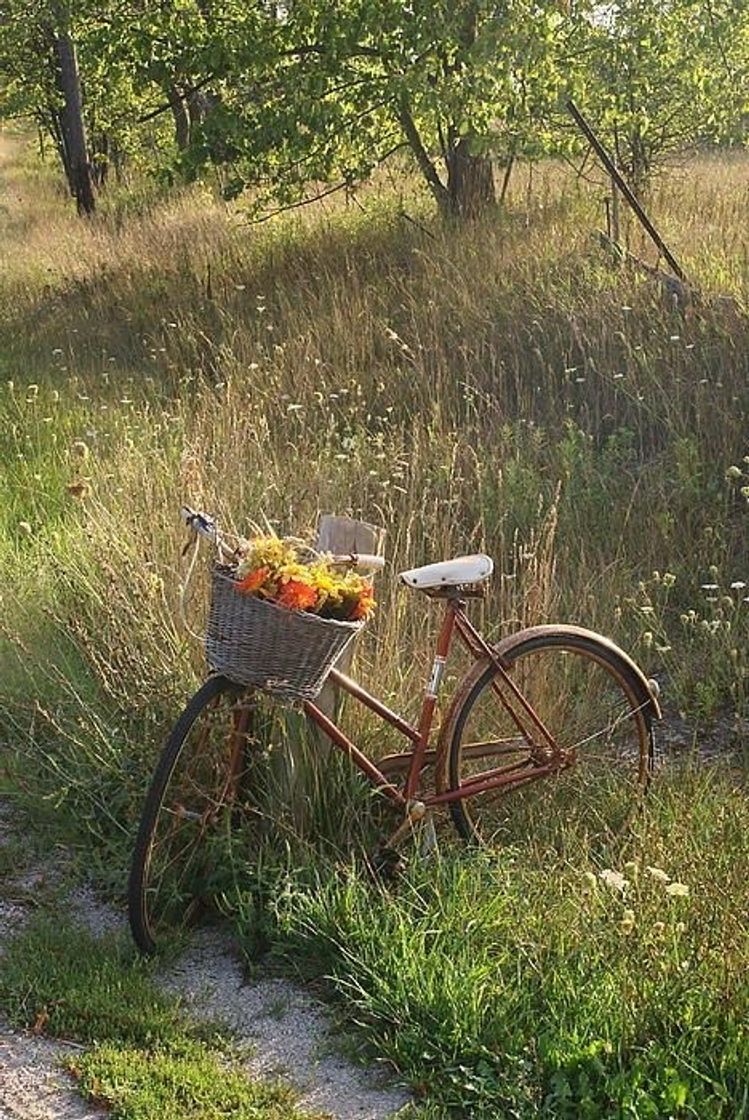 Moda 🚴🏻‍♀️🌸☀️